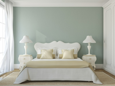Green Colored Wall in Guest  Room