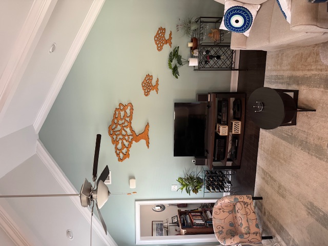 Accent Wall Opelika Alabama Sherwin Williams Duration Home Interior Acrylic Latex SW6212 Quietude Matte Sheen