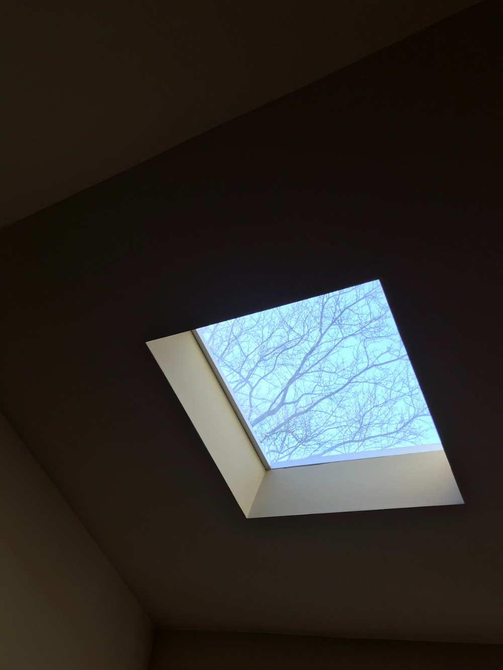 slanted ceiling in beige with a skylight