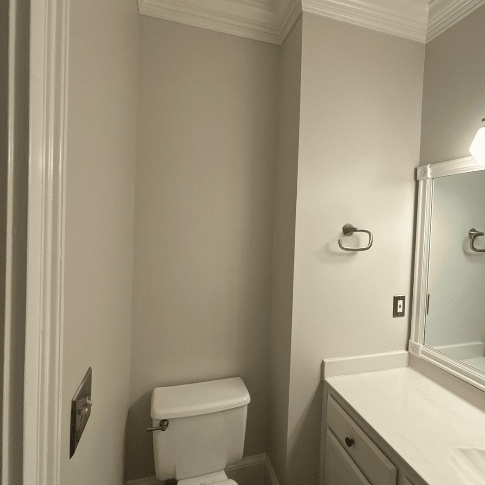 Fresh neutral bathroom repaint