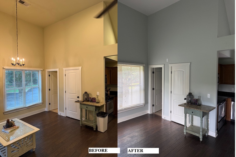 Living room color change Auburn Alabama