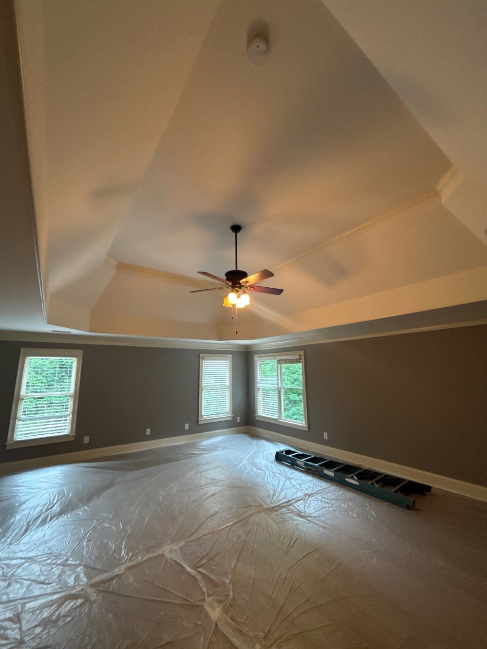 Master Bedroom Repaint