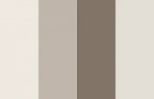 Color palette with four colors: SW 7001 Marshmallow, SW 7030 Anew Gray, SW 7514 Foothills, SW 7028 Incredible White