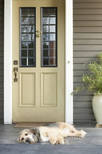 Dog Relaxing in Front of a Clean Front Porch