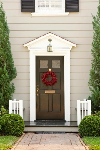 Dark Brown Door with White Molding.