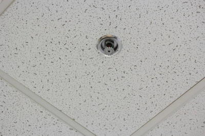 Ceiling Tile with Sprinkler