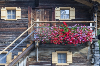 Deck Decor