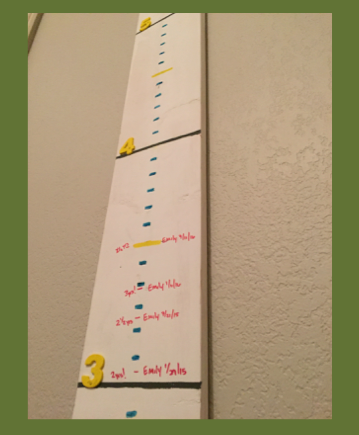 Height Chart