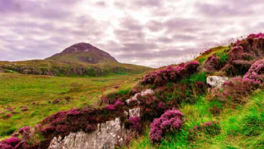 Irish landscape