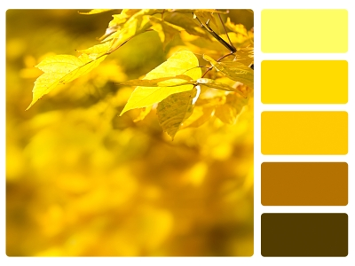Yellow/Brown Color Palette Beside Autumn Leaves