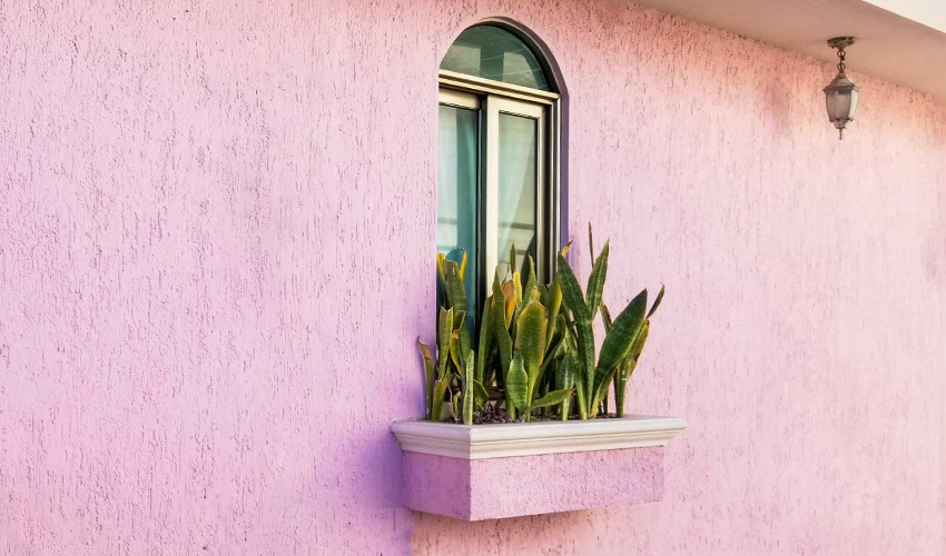 Pink stucco home with a window box