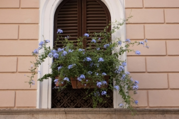 Cascading Window Box