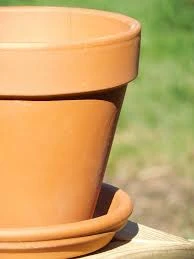 Terra Cotta Planter.