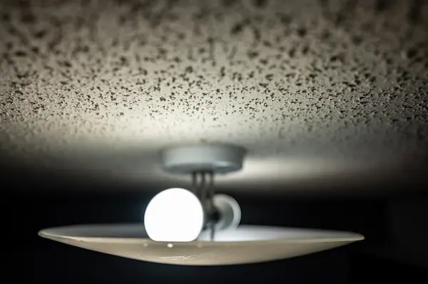 Popcorn textured ceiling with LED bulb light fixture