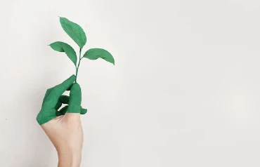 A hand holding a green plant, with the tips of the fingers colored green, on a white background.
