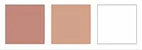 Colour palette of light terracotta, light terracotta and white swatches.