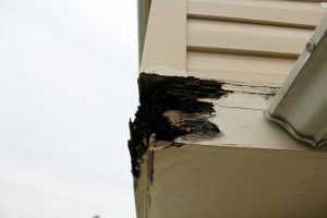 Rotten wood on a house